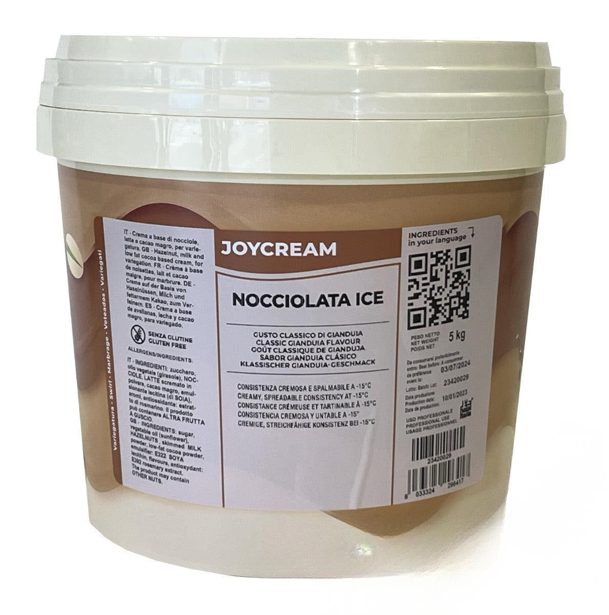 Helado de avellana Joycream en envase grande